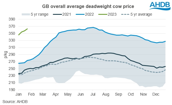 A graph showing average gb deadweight cow prices